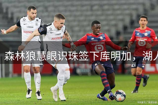 森林狼慧眼识珠签下库明加，湖人错失良机痛惜不已